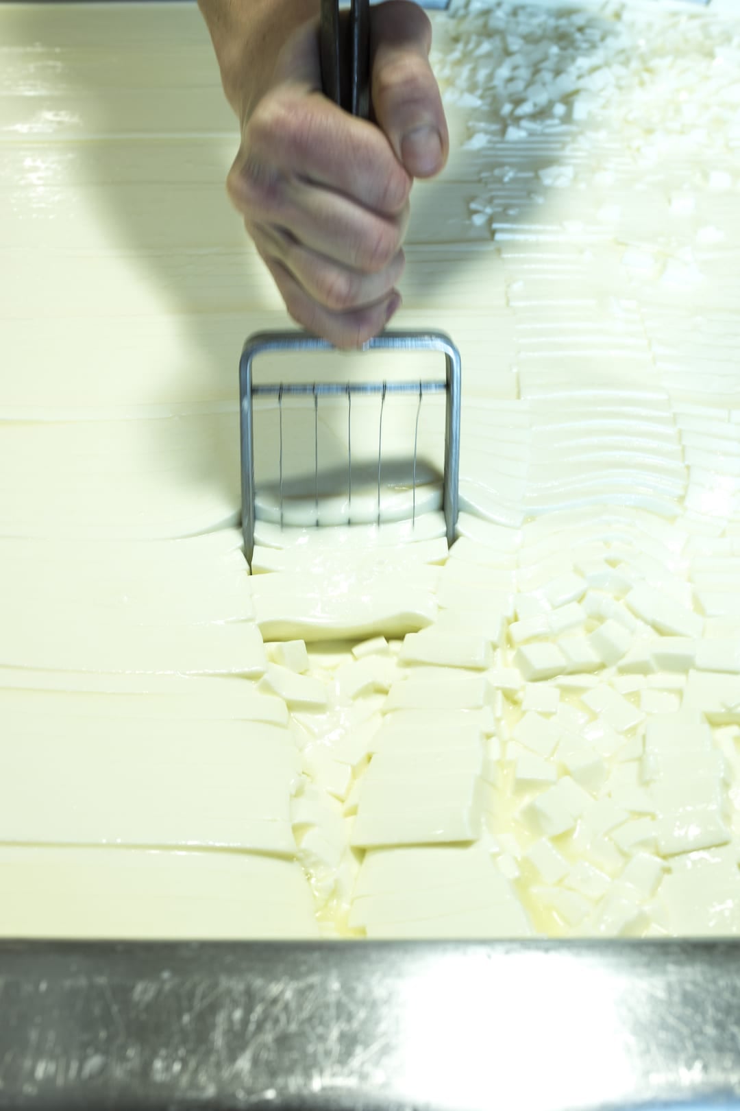 Artisan fromager découpant le caillé à la main dans l'atelier de la maison Carles, geste inchangé depuis 1927