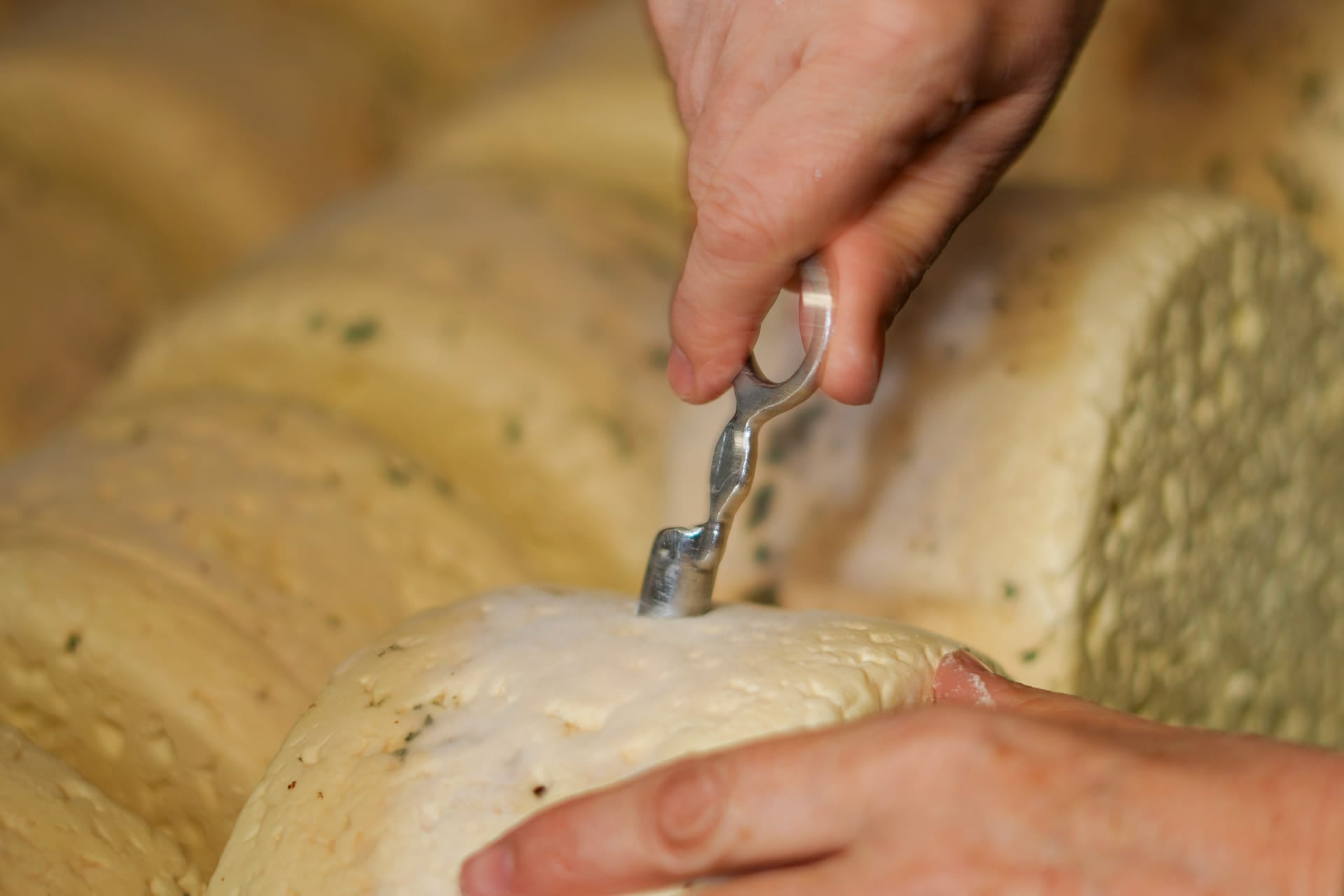 Main tournant un fromage sur travet de bois